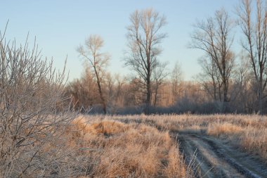 Kışın nefesi, göldeki ilk buz, buzlu bir sabahın şafağı çimenlerin üzerinde don, buzun yakın çekimi, ilk buzun üzerindeki desenler. Kış