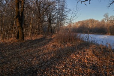 Kışın nefesi, göldeki ilk buz, buzlu bir sabahın şafağı çimenlerin üzerinde don, buzun yakın çekimi, ilk buzun üzerindeki desenler. Kış