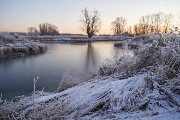 Dech Zimy První Led Jezeře Úsvit Mrazivého Rána Mrazem Trávě — Stock fotografie