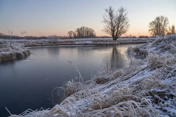 Дыхание Зимы Первый Лед Озере Рассвет Холодным Утром Морозом Траве — стоковое фото