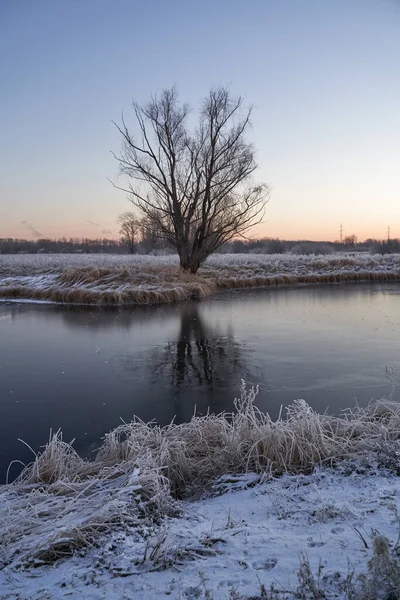 Breath of winter, first ice on the lake, dawn on a frosty morning with frost on the grass, close-up of frost, patterns on the first ice. Winter