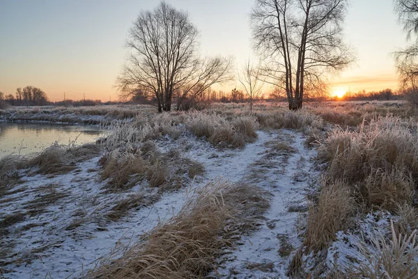 Breath Winter First Ice Lake Dawn Frosty Morning Frost Grass — Photo