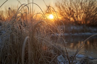 Kışın nefesi, göldeki ilk buz, buzlu bir sabahın şafağı çimenlerin üzerinde don, buzun yakın çekimi, ilk buzun üzerindeki desenler. Kış