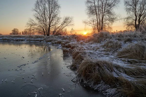Дихання Зими Перший Лід Озері Світанок Морозний Ранок Морозом Траві — стокове фото