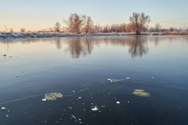 Breath of winter, first ice on the lake, dawn on a frosty morning with frost on the grass, close-up of frost, patterns on the first ice. Winter