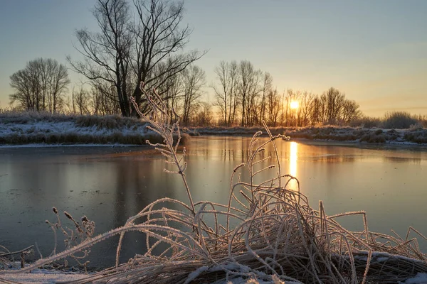 Hauch Von Winter Erstes Eis Auf Dem See Morgengrauen Einem — Stockfoto