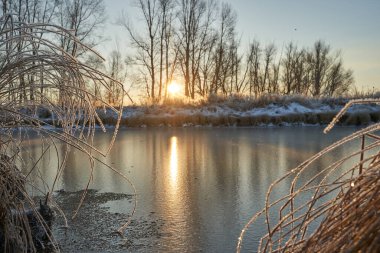 Kışın nefesi, göldeki ilk buz, buzlu bir sabahın şafağı çimenlerin üzerinde don, buzun yakın çekimi, ilk buzun üzerindeki desenler. Kış
