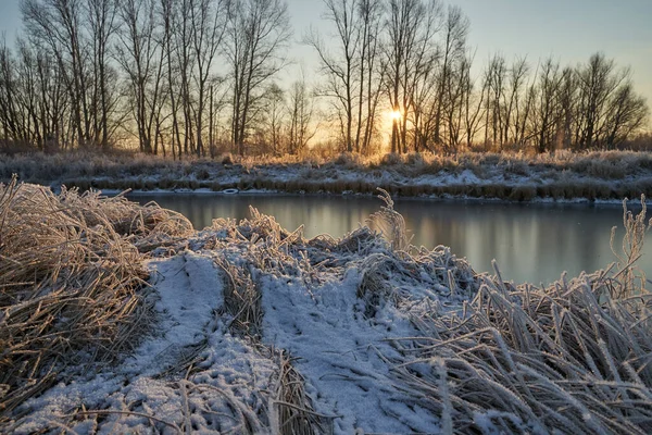 Hauch Von Winter Erstes Eis Auf Dem See Morgengrauen Einem — Stockfoto