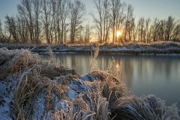 Breath Winter First Ice Lake Dawn Frosty Morning Frost Grass — Photo