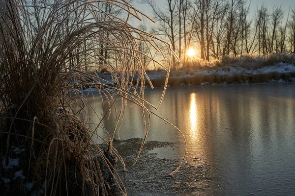 Respiro Inverno Primo Ghiaccio Sul Lago Alba Una Mattina Gelida — Foto Stock