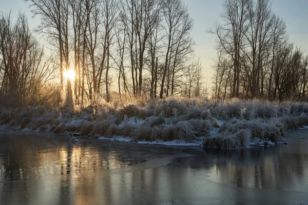 Dech Zimy První Led Jezeře Úsvit Mrazivého Rána Mrazem Trávě — Stock fotografie