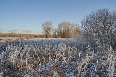 Kışın nefesi, göldeki ilk buz, buzlu bir sabahın şafağı çimenlerin üzerinde don, buzun yakın çekimi, ilk buzun üzerindeki desenler. Kış