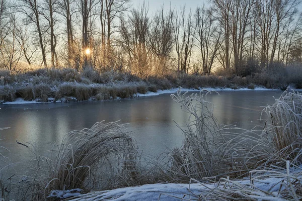 Breath of winter, first ice on the lake, dawn on a frosty morning with frost on the grass, close-up of frost, patterns on the first ice. Winter