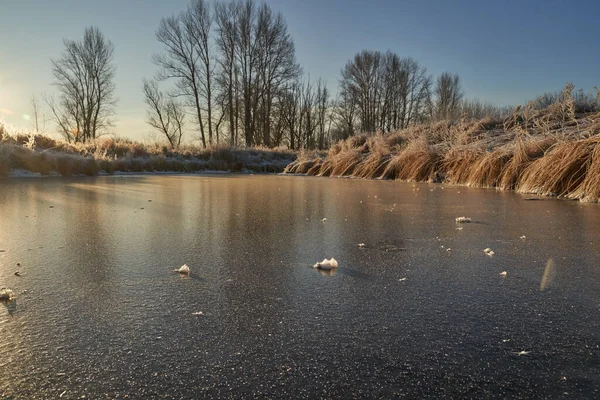 Breath of winter, first ice on the lake, dawn on a frosty morning with frost on the grass, close-up of frost, patterns on the first ice. Winter