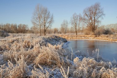 Kışın nefesi, göldeki ilk buz, buzlu bir sabahın şafağı çimenlerin üzerinde don, buzun yakın çekimi, ilk buzun üzerindeki desenler. Kış