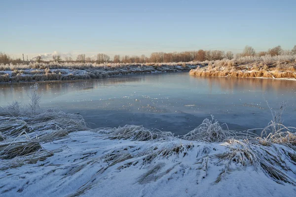 Дихання Зими Перший Лід Озері Світанок Морозний Ранок Морозом Траві — стокове фото