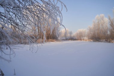 Kışın nefesi, göldeki ilk buz, buzlu bir sabahın şafağı çimenlerin üzerinde don, buzun yakın çekimi, ilk buzun üzerindeki desenler. Kış