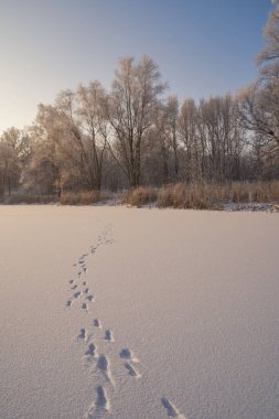 Kışın nefesi, göldeki ilk buz, buzlu bir sabahın şafağı çimenlerin üzerinde don, buzun yakın çekimi, ilk buzun üzerindeki desenler. Kış