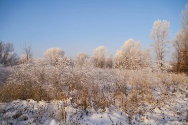 Kışın nefesi, göldeki ilk buz, buzlu bir sabahın şafağı çimenlerin üzerinde don, buzun yakın çekimi, ilk buzun üzerindeki desenler. Kış