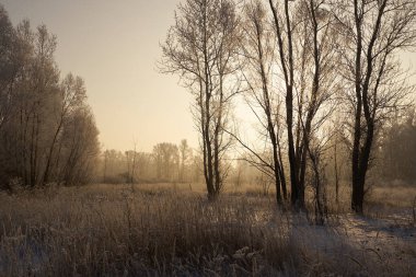 Kışın nefesi, göldeki ilk buz, buzlu bir sabahın şafağı çimenlerin üzerinde don, buzun yakın çekimi, ilk buzun üzerindeki desenler. Kış