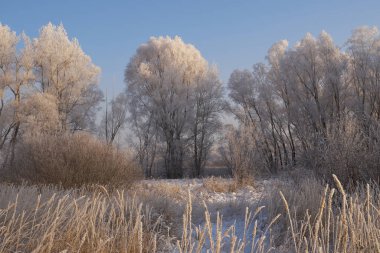 Kışın nefesi, göldeki ilk buz, buzlu bir sabahın şafağı çimenlerin üzerinde don, buzun yakın çekimi, ilk buzun üzerindeki desenler. Kış