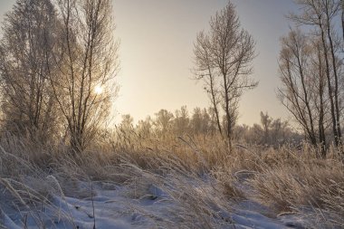 Kışın nefesi, göldeki ilk buz, buzlu bir sabahın şafağı çimenlerin üzerinde don, buzun yakın çekimi, ilk buzun üzerindeki desenler. Kış