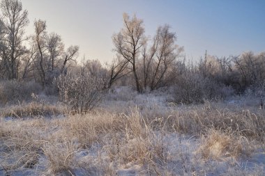 Kışın nefesi, göldeki ilk buz, buzlu bir sabahın şafağı çimenlerin üzerinde don, buzun yakın çekimi, ilk buzun üzerindeki desenler. Kış