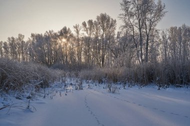 Kışın nefesi, göldeki ilk buz, buzlu bir sabahın şafağı çimenlerin üzerinde don, buzun yakın çekimi, ilk buzun üzerindeki desenler. Kış