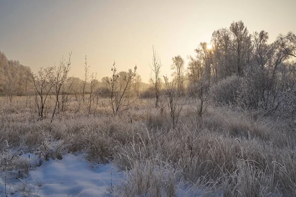 Breath Winter First Ice Lake Dawn Frosty Morning Frost Grass — Photo