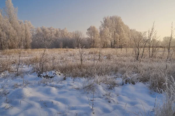 Breath Winter First Ice Lake Dawn Frosty Morning Frost Grass — Photo