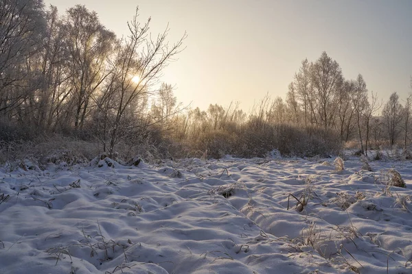 Breath of winter, first ice on the lake, dawn on a frosty morning with frost on the grass, close-up of frost, patterns on the first ice. Winter