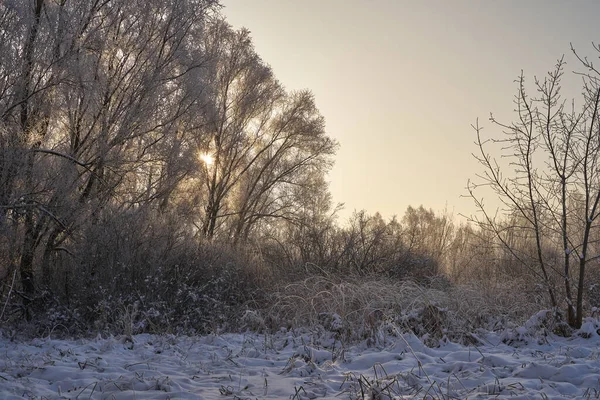 Breath Winter First Ice Lake Dawn Frosty Morning Frost Grass — Photo