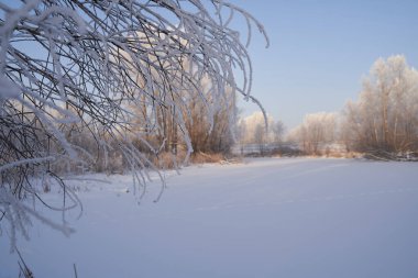 Güzel kış manzarası, karla kaplı ağaçlar, kış