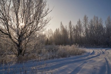Kışın nefesi, göldeki ilk buz, buzlu bir sabahın şafağı çimenlerin üzerinde don, buzun yakın çekimi, ilk buzun üzerindeki desenler. Kış