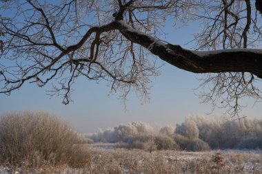 Kışın nefesi, göldeki ilk buz, buzlu bir sabahın şafağı çimenlerin üzerinde don, buzun yakın çekimi, ilk buzun üzerindeki desenler. Kış