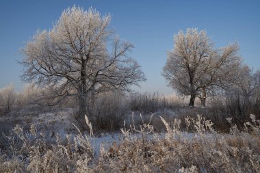 Kışın nefesi, göldeki ilk buz, buzlu bir sabahın şafağı çimenlerin üzerinde don, buzun yakın çekimi, ilk buzun üzerindeki desenler. Kış