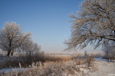 Kışın nefesi, göldeki ilk buz, buzlu bir sabahın şafağı çimenlerin üzerinde don, buzun yakın çekimi, ilk buzun üzerindeki desenler. Kış