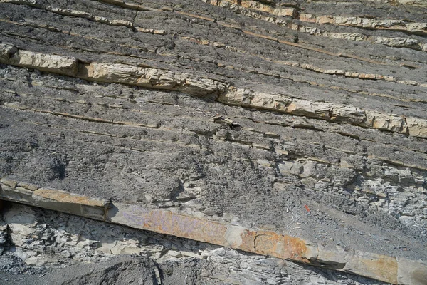 La textura y el fondo de las piedras. Textura de roca en la costa del mar — Foto de Stock