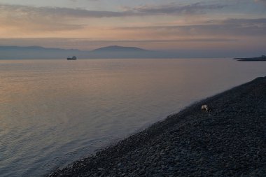 Sakin denizin üzerinde gün doğumu, bulutların arasından bulutların içine doğru süzülen, sakin deniz manzarasına doğru turuncu ışık huzmeleri saçar.,