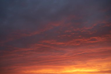Gün batımında parlayan parlak ışık bulutlarıyla güzel bir akşam masmavi gökyüzü. Gün batımında sıcak bir yaz akşamı. Parlak gün batımı.