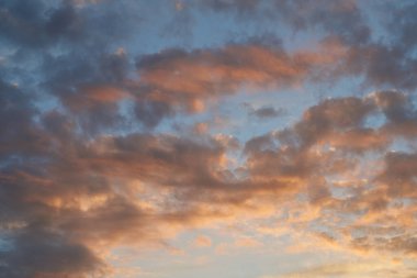 Gün batımında parlayan parlak ışık bulutlarıyla güzel bir akşam masmavi gökyüzü. Gün batımında sıcak bir yaz akşamı. Parlak gün batımı.