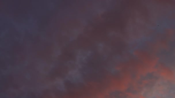 Hermoso Cielo Azul Noche Atardecer Con Llameantes Nubes Luz Brillante — Vídeos de Stock