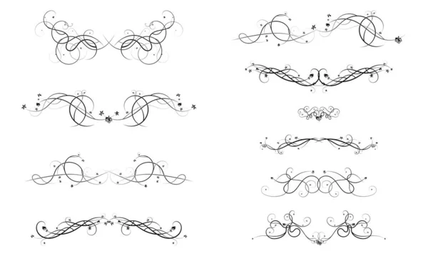 Üzüm Böğürtlen Filizlerinin Tasarım Elementleri Zarif Çizim Vektörü — Stok Vektör