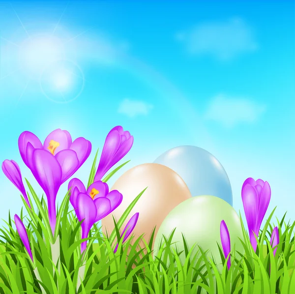 Kartka Wielkanocna z jaj i krokusy — Wektor stockowy