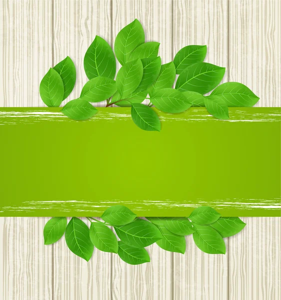 Groene banner met bladeren — Stockvector