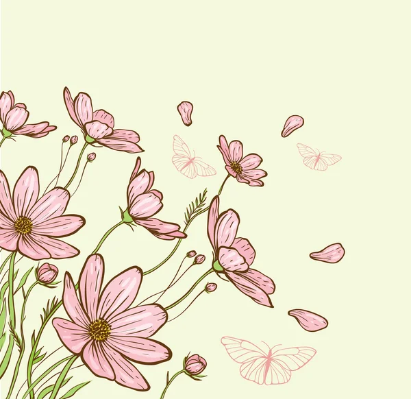 Cosmos flores y mariposa — Archivo Imágenes Vectoriales