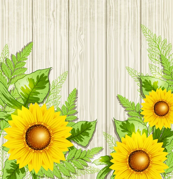 Hojas verdes y girasoles — Vector de stock