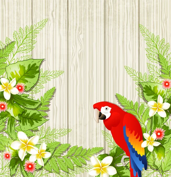 Fiori tropicali e pappagallo — Vettoriale Stock