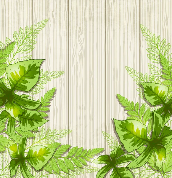 Fondo con hojas tropicales verdes — Vector de stock