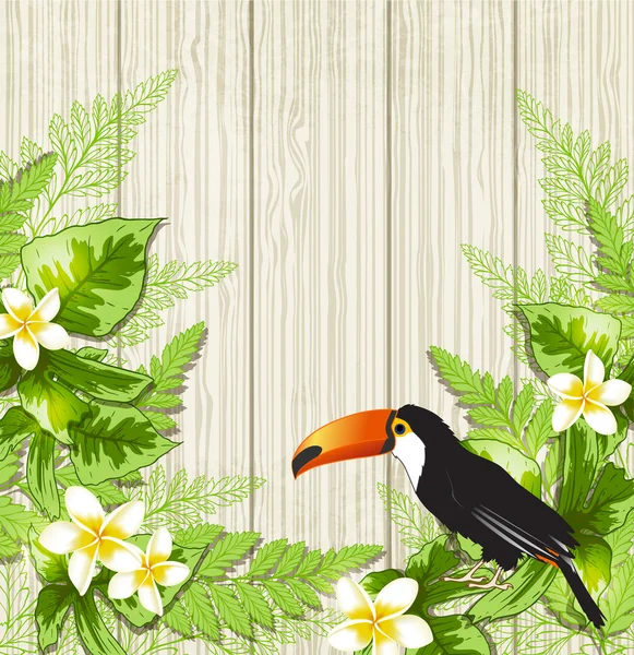 Tropical flowers and toucan — Stock Vector